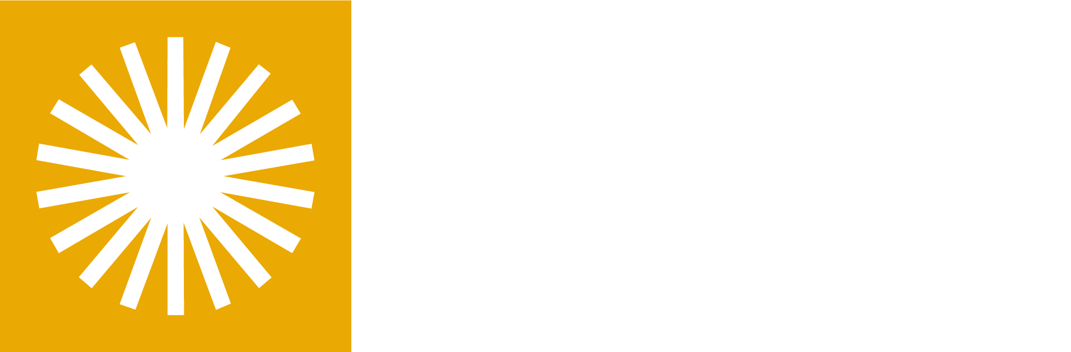Logo Fondazione Biagioni Borgogni