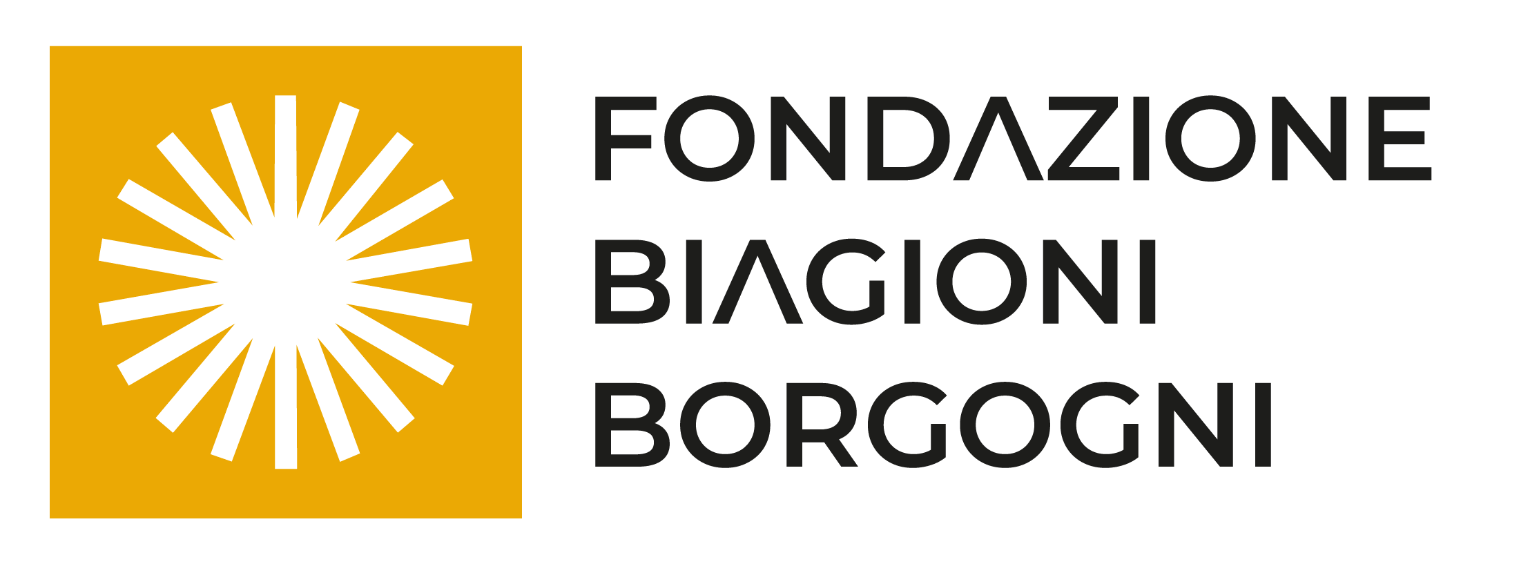 Logo Fondazione Biagioni Borgogni Onlus